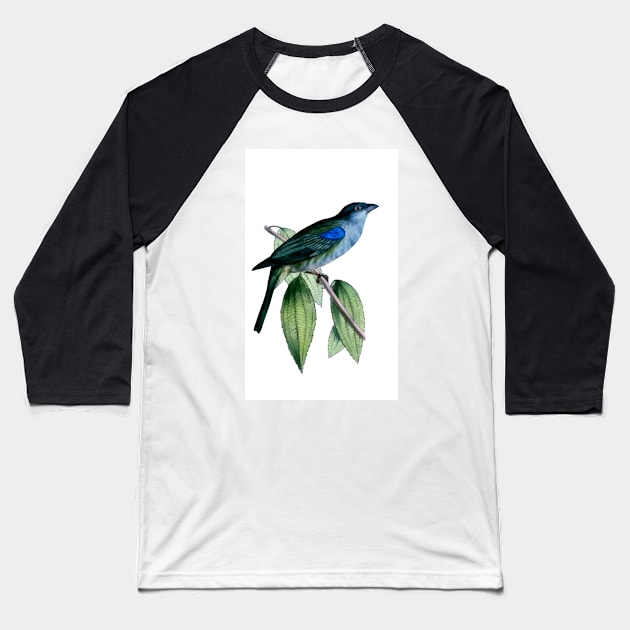 Blue-gray Tanager Baseball T-Shirt by PictureNZ